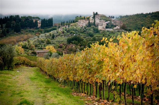 Agriturismo Podere Torre グレーヴェ・イン・キアンティ エクステリア 写真